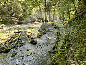 Small mountain river GerovÃÂica, Zamost - Region of Gorski kotar, Croatia / Mala gorska rijeka GerovÃÂica photo